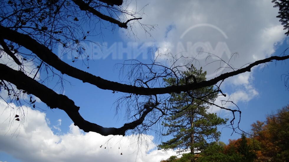 Природа.Есен.Кайлъка