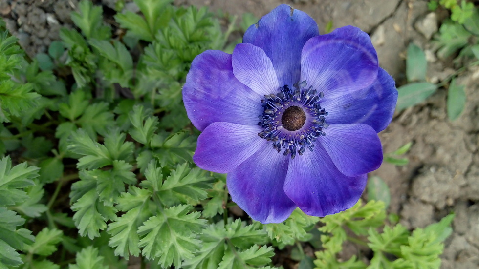 За всички за здраве