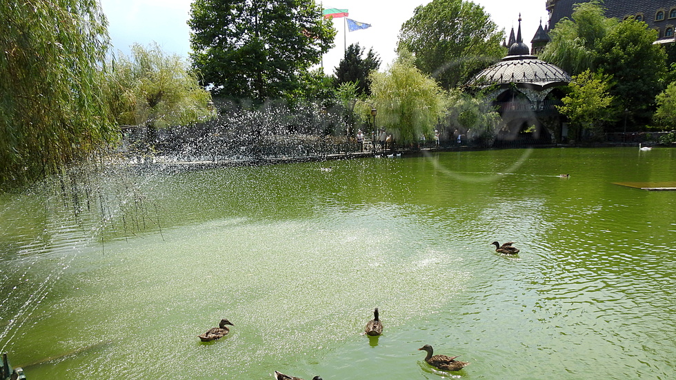 Сред водната прохлада!