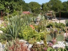 МС върна Ботаническата градина на Софийския университет