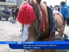 Ще има ли наказателен паркинг за коне и каруци в София?