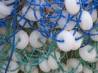 Иззеха 470 кг риба от бракониерски мрежи