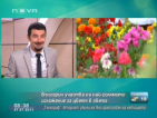 Българин стана първият източноевропеец, представил ни на най-голямото изложение за цветя в света