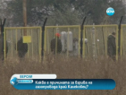 Две основни версии за взрива на газопровода край Калековец