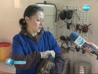 Застрашени видове с шанс за втори живот