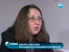 Екс-шефката на Агенцията по вписвания взела 73 000 лв. бонус за неуморния труд