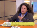 П. Паунова: Трайков не отрече върху него да е бил оказван натиск