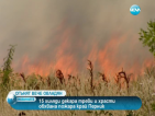 Над 15 хиляди декара треви и храсти изгоряха край Перник