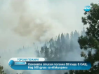 Голям горски пожар бушува в щата Вашингтон