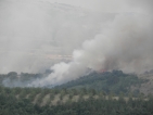 Пожар спря влаковете в района на Дупница (ОБНОВЕНА)
