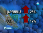 Световните цени на храните станаха рекордно високи