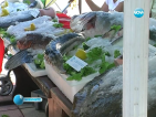 Рибеният фест в Каварна събра десетки любители на морските дарове
