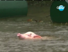 Китайски фермер научи прасетата си да скачат...във вода