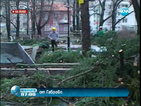 Ураганен вятър взе жертва в Габрово, стотици са без ток