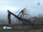 Урагани брулиха България, има риск от наводнения