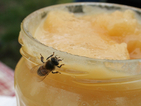 Яжте мед за по-хубав секс
