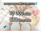 10 000 яйца и 688 козунака спрени от продажба по Великден