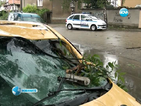 Буря в Монтана събори дърво върху движещ се автомобил