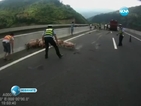 Полицаи гониха прасета по магистрала в Китай