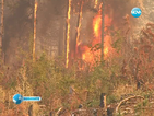 Пожар и в село Искрец, засегнати са над 50 дка. смесени гори
