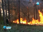 Локализиран е пожарът край Стара Загора