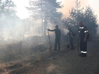 220 пожара в страната – потушени за денонощие