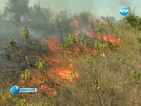Пожар край Симитли унищожи 100 дка лозя, треви и храсти