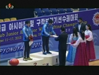Спортната арена обедини Северна и Южна Корея