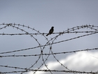 Не се предвижда изграждане на нова ограда на границата с Турция