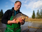 Британец улови шаран с тегло 61 кг