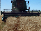 Зърнопроизводители притеснени за възстановяването на ДДС-то им