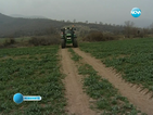 До края на годината изплащат 278 млн. евро на фермерите