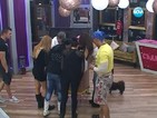 Още двама ще напуснат Къщата на Big Brother All Stars