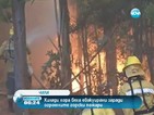 Евакуираха цял град заради горски пожари в Чили