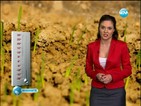 Заплашена ли е реколтата от топлото време и ще се повишат ли цените?
