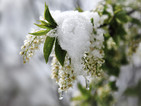 Пролетта донесе сняг на Балканите