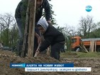Семейства засаждат дръвчета на Алеята на новия живот