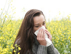 Домашните кърлежи - основен причинител на алергии