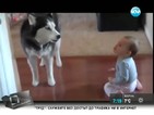 Бебе и куче в уникален дует
