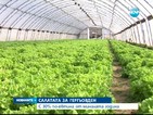 Салатата за Гергьовден - с 30% по-евтина от миналата година