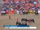 Хилядна публика за борбите с крави в Швейцария