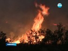Стотици евакуирани заради голям горски пожар в Тексас