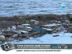 Хора останаха без домове след потопа в Русенско