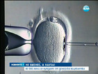 40 000 жени имат нужда от донор на яйцеклетка