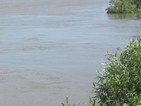 Река Искър може да достигне високия си праг