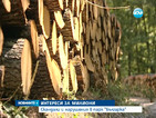 Скандали и нарушения в парк "Българка" (ОБЗОР)