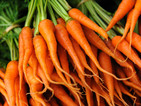 В морковите е ключът към победата над рака