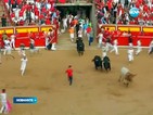 Двама бяха прободени от бикове на фестивала „Сан Фермин”
