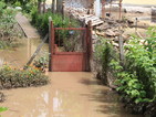 Дъждът в Добрич отново наводни домове