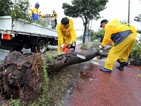 Около 1600 домакинства в Южна Корея останаха без ток заради силна буря